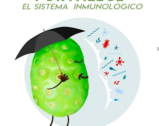 Ingredientes activos del noni.